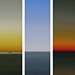 The Passing Days Triptych 12 X 3 1/2 each