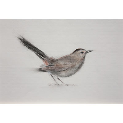 "Feathers #11" by Gretchen R.R. Eppling