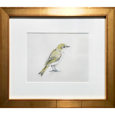 "Link to Feathers Drawings" by Gretchen R.R. Eppling
