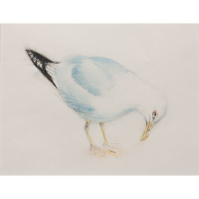"Feathers #19" by Gretchen R.R. Eppling