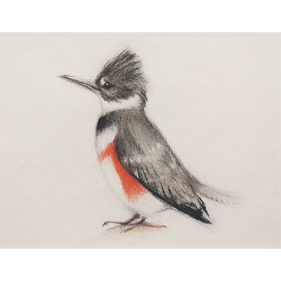 "Feathers #18" by Gretchen R.R. Eppling