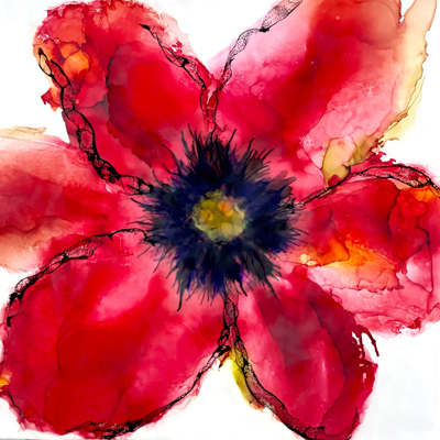 Poppy Red #2 24 X 24 by Deborah Llewellyn