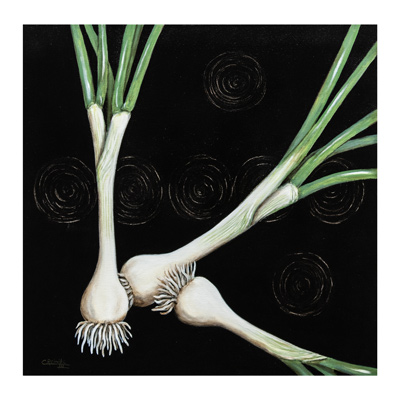  Vidalia II 24 X 24 by Charles H. Reinike III