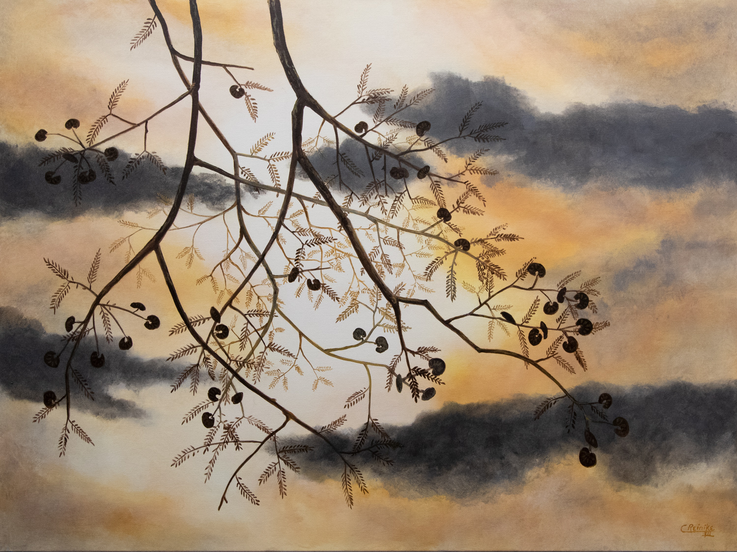 Guanacaste Lace at Sunset 36 X 48 by Charles H. Reinike III