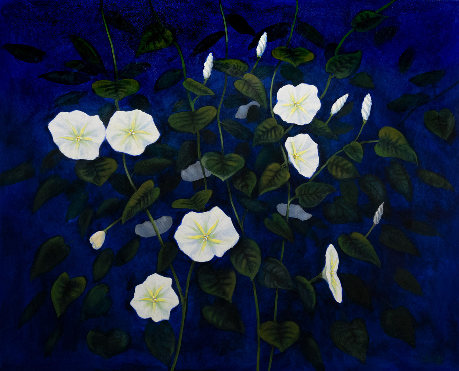 Moonflowers on Blue 42 X 52 by Charles H. Reinike III